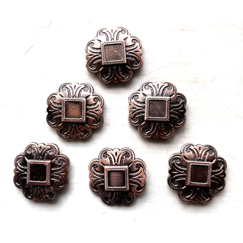 6 Pcs Western Show Horse Saddle Conchos Stainless Steel with Screws