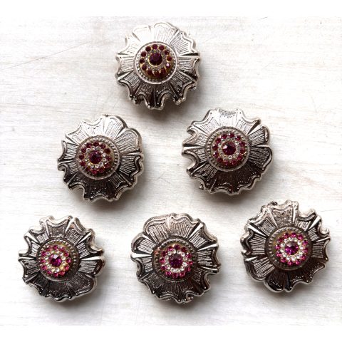 6 Pcs Western Show Horse Saddle Conchos Stainless Steel with Screws
